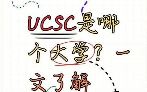 UCSE招聘,哪些岗位值得关注?