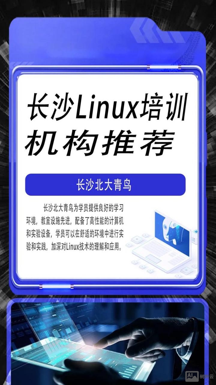 linx 招聘