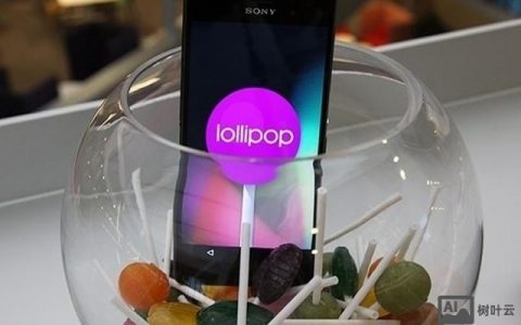 ilollipop招聘什么岗位？要求薪资如何？