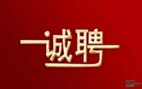招聘aso岗位，核心技能与职责是什么？
