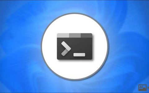 C命令行如何实现彩色输出？