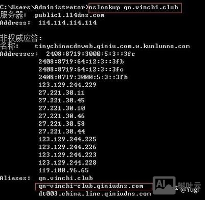 如何查看dns解析是否正常