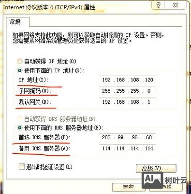 如何查看dns解析是否正常