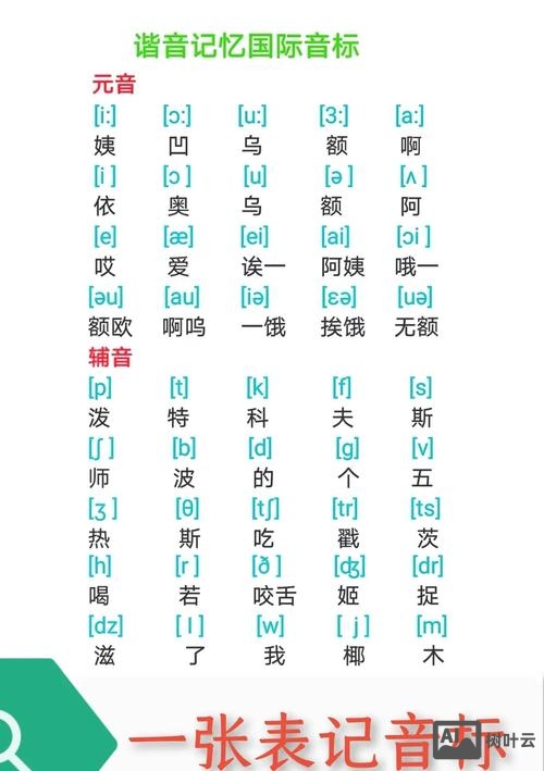 百词斩如何显示音标