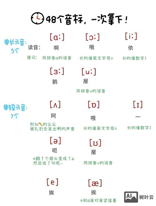 百词斩如何显示音标