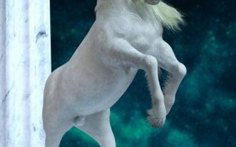 Unicorn招聘有何独特之处？