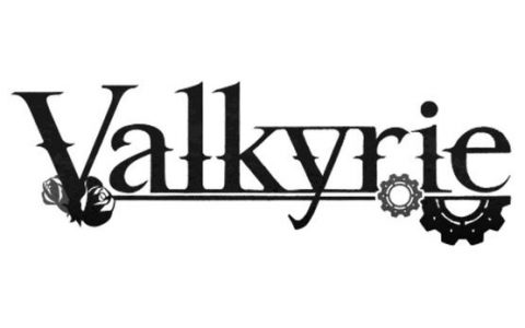 vallen招聘有哪些具体岗位和要求？