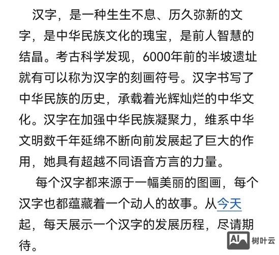 如何使中国汉字风靡世界