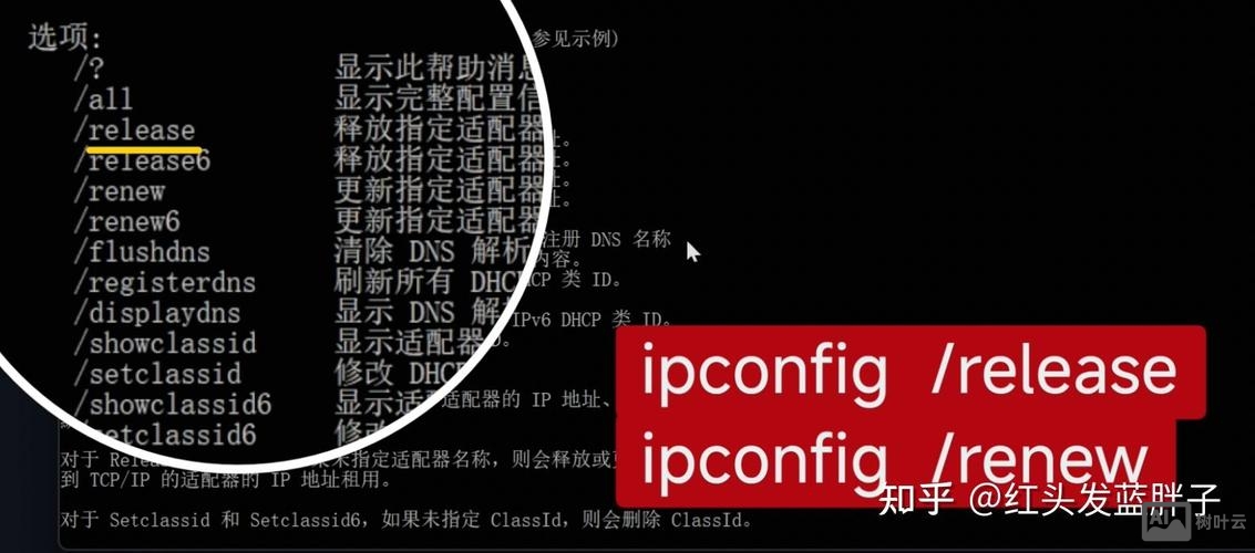 windows查看ip的命令