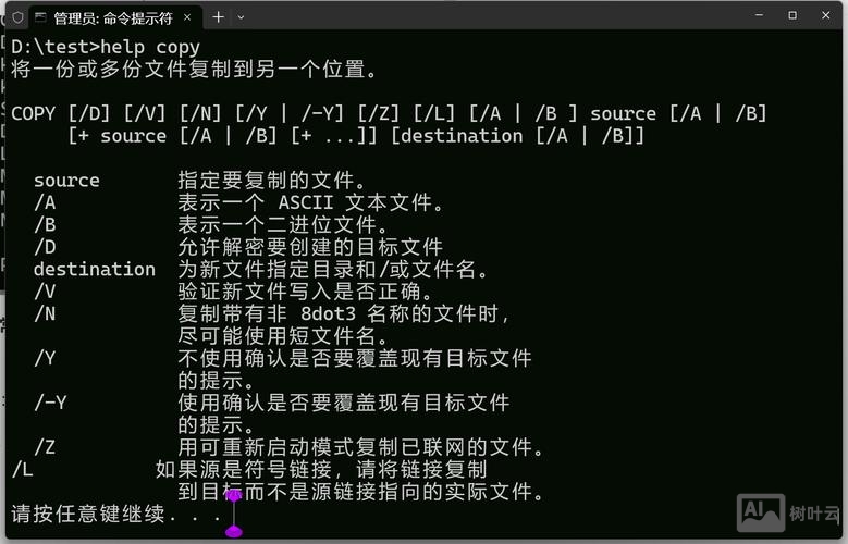 命令行 打开word