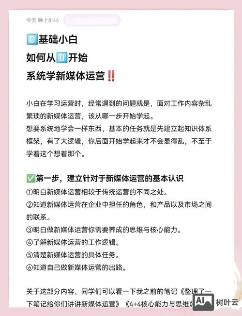 如何对网站进行运营