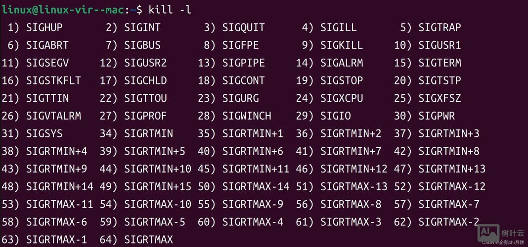 监控进程的命令 linux