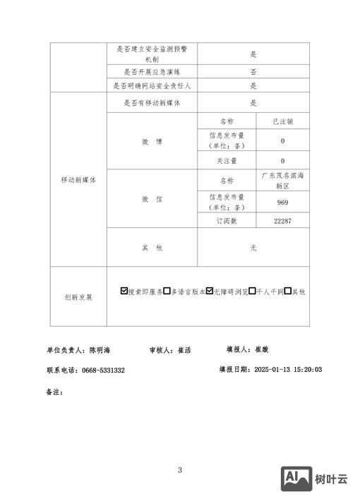水晶报表 命令 参数