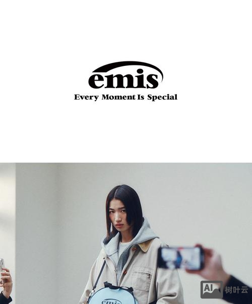 emis 招聘