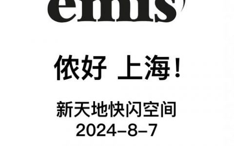 emis招聘有哪些岗位和要求？