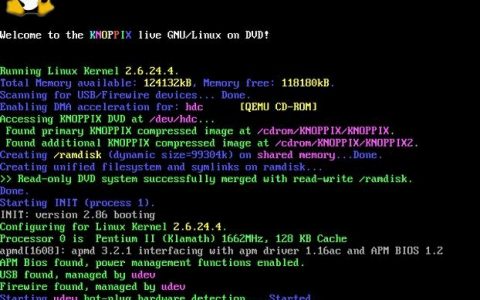 Java如何打印命令行参数？