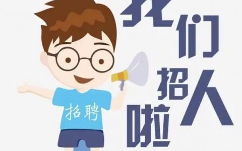 Team招聘，哪些岗位等你投递？
