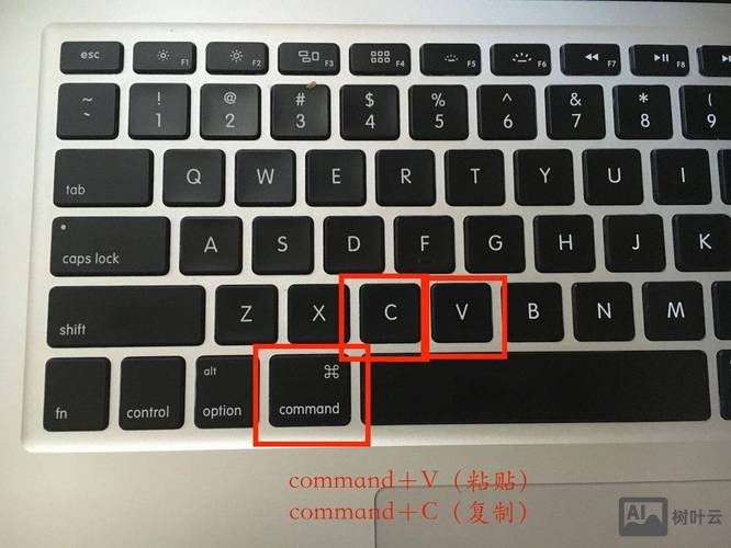 mac 命令行 复制