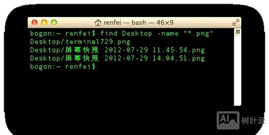 mac 命令行 复制