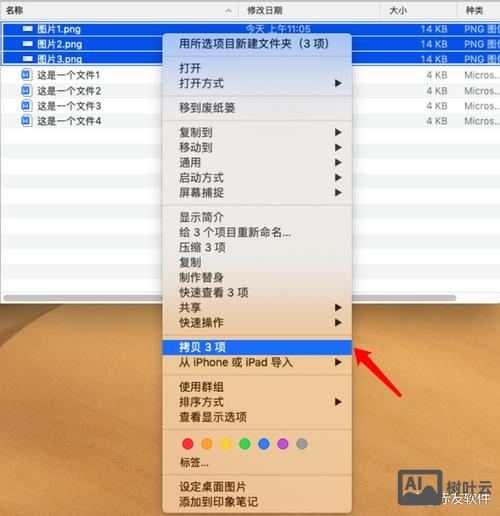 mac 命令行 复制