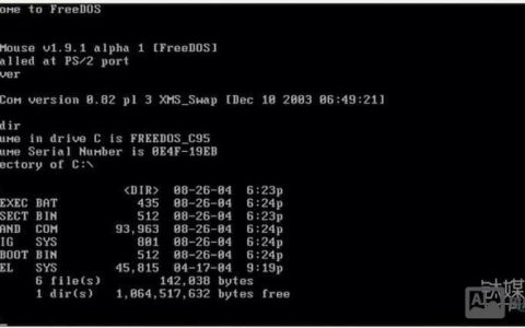 de4dot命令如何正确使用？