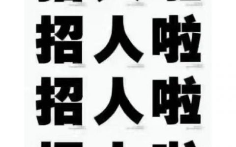 FBT招聘具体岗位和要求是什么？