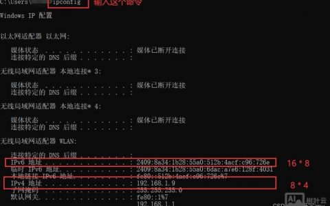 如何用命令行快速获取DNS信息？