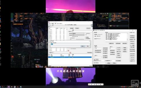 完美国际debug命令有哪些具体用法？