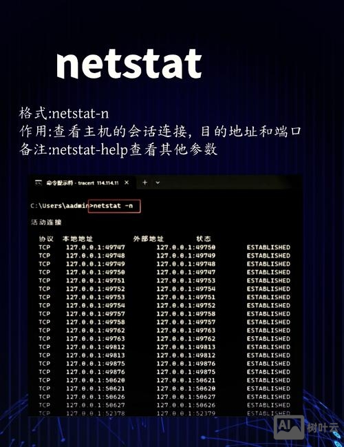 cmd 断开网络命令