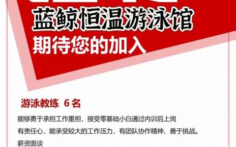 Llamsoft招聘，哪些岗位在等你？