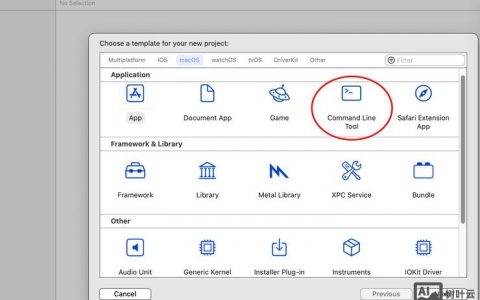 Xcode命令行参数如何配置与使用？