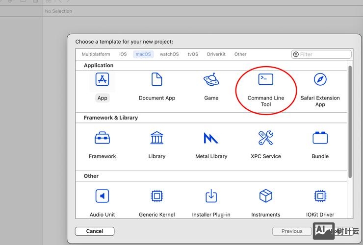xcode 命令行参数