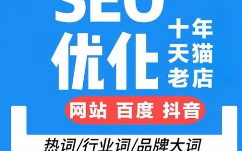 官网如何优化才能快速登首页？