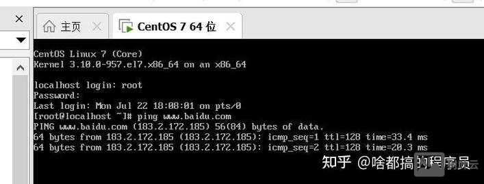 centos 查看dns的命令