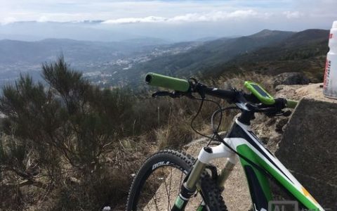 Ricardo招聘，具体岗位和要求是什么？