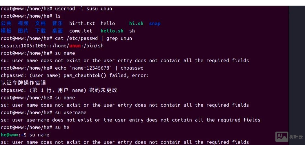 运行环境变量命令