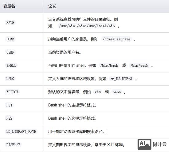 运行环境变量命令