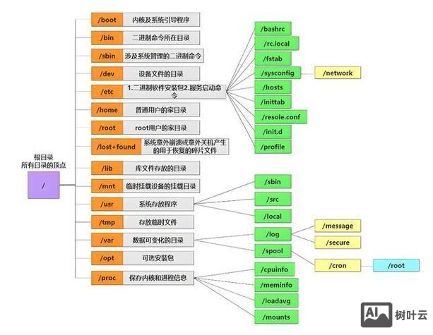 linux命令行循环