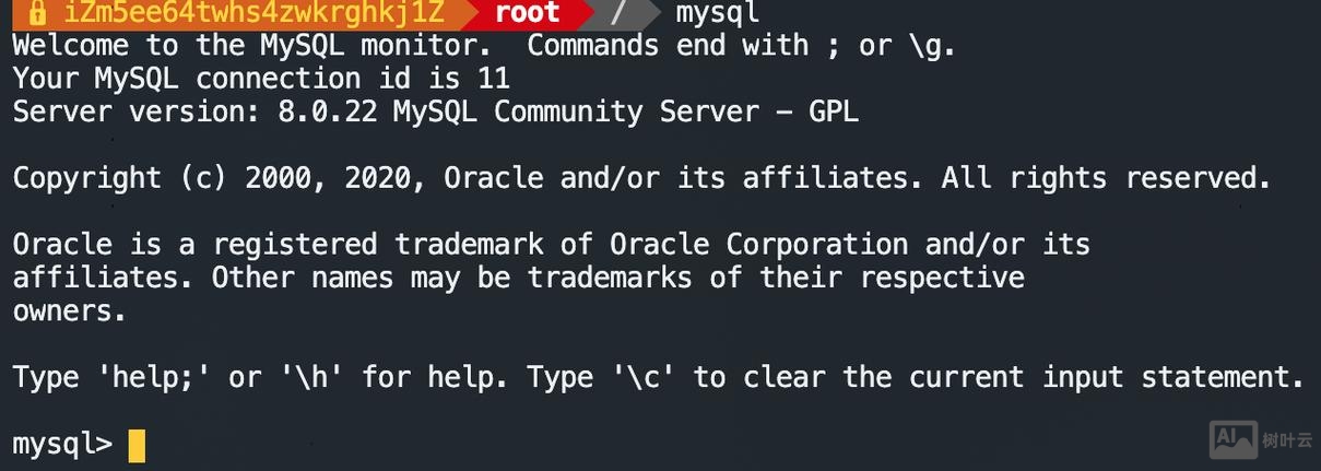 debian 卸载 命令行