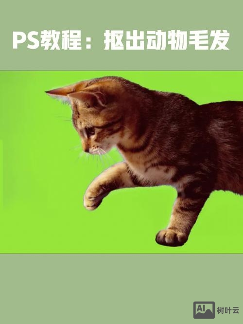 ps如何抠毛发复杂背景