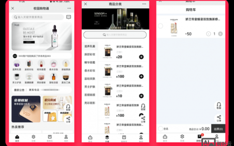 海外购物商城制作的关键步骤是什么?