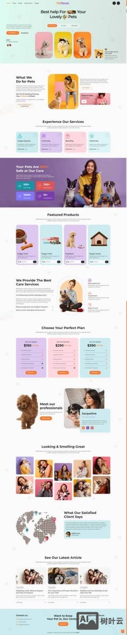 新手如何写网页设计