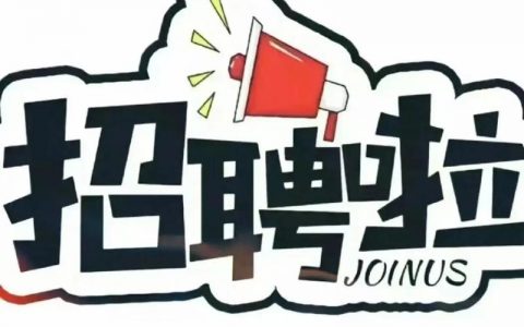 openday招聘具体有哪些岗位和要求？