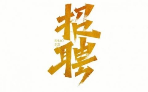 Wamp招聘有哪些岗位和要求？