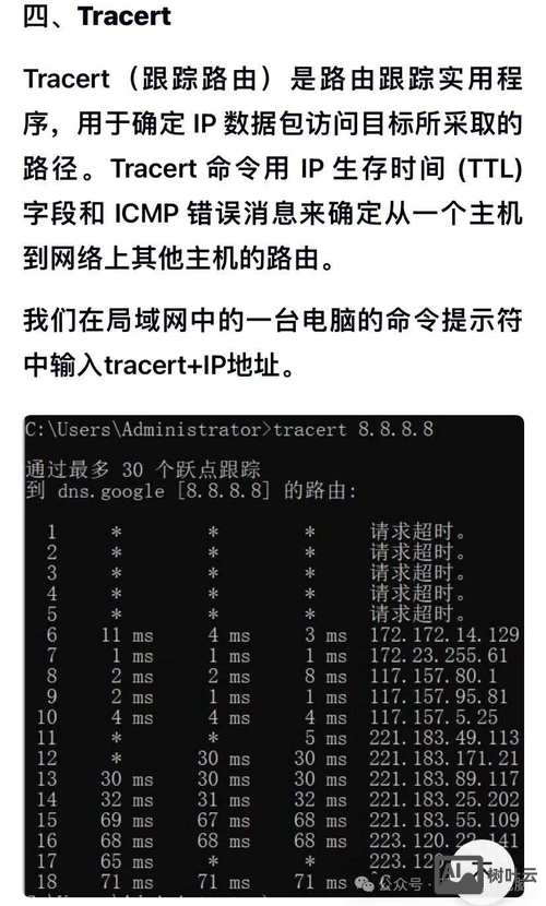 查看ip路由命令