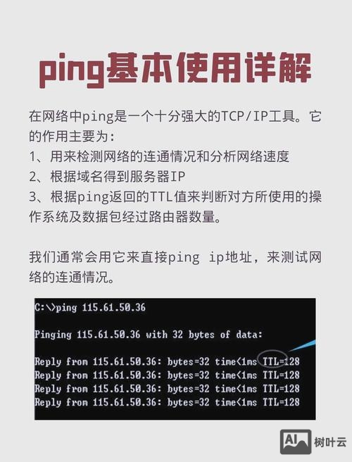 查看ip路由命令