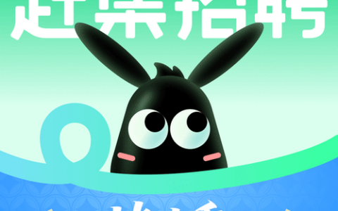 AKP招聘，具体岗位和要求是什么？