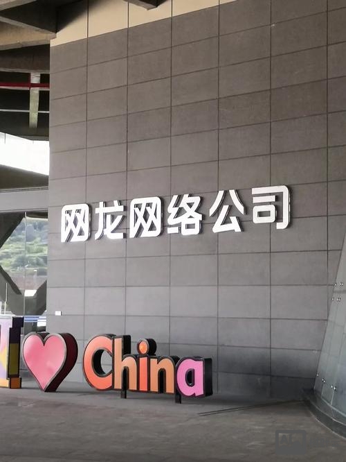 网龙公司现状如何