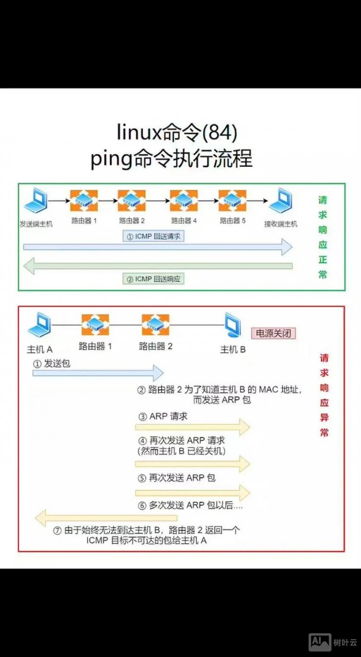 ping命令的执行过程