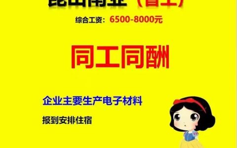 dityque招聘,有哪些岗位在招?